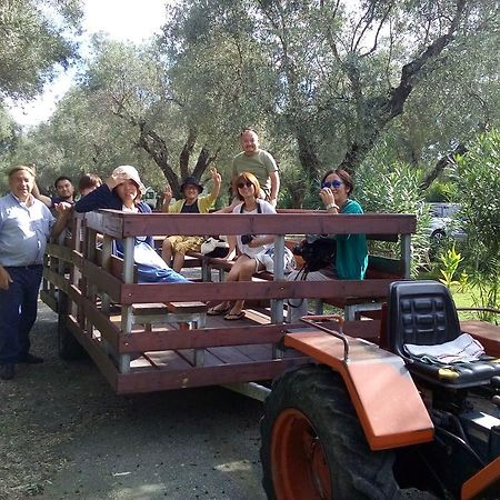 Agriturismo Il Maresciallo Villa Cariati Luaran gambar