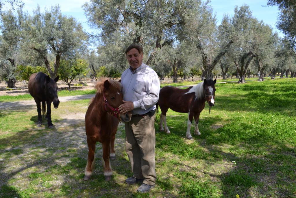 Agriturismo Il Maresciallo Villa Cariati Luaran gambar